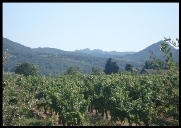 Vue de la Terrasse